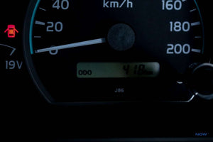 2025 - Toyota - LAND CRUISER PICK UP